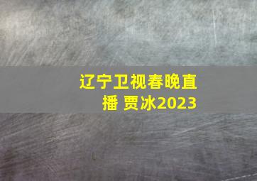 辽宁卫视春晚直播 贾冰2023